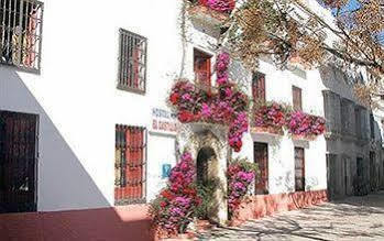 El Castillo Apartament *